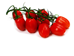 Tomate klein